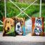 Coussin : Chat avec collier