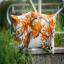 Coussin : Graines d'automne
