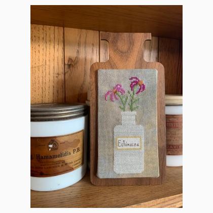 Perennial Potions - Echinacea
