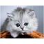Little Fluffy