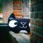 Coussin : Eva Mouton - Chat noir