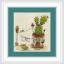 Cactuses