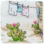 Cactuses