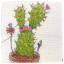 Cactuses