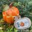 Autumn Gifts Frame Set (4 pcs)