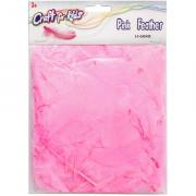 Plumes de dinde 14g - Rose