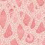 Beach Shells Coral