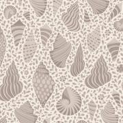 Beach Shells Grey