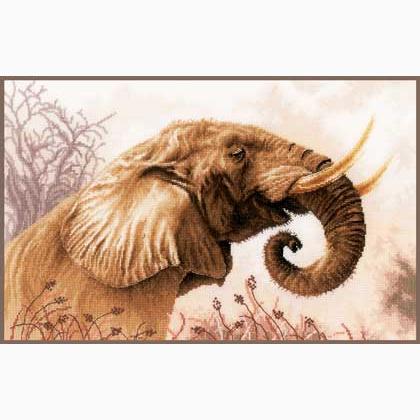 An Elephant Call