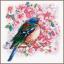 Bird Between Blossom