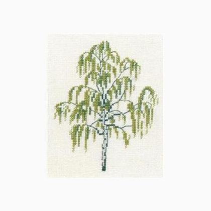 Birch
