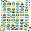 Coussin : Fleurs
