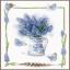 Raisins bleus