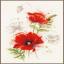 Coquelicots