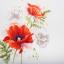 Coquelicots