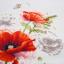 Coquelicots