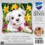 Westie & jonquilles