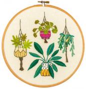 Plantes d'intérieur