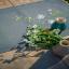 Chemin de table - Flocons de fleurs
