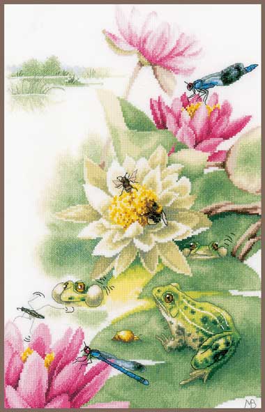Lys et grenouilles