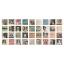 Idea-Ology Carreuax de collage