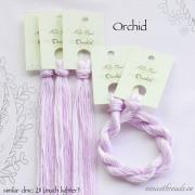 Orchid