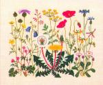 Flowers of the Summer