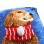Coussin : Chien avec écharpe