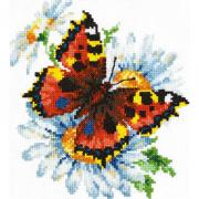 Butterfly and daisies