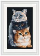 Three Cats - Noir