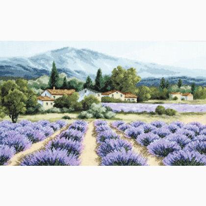 Mountain lavender