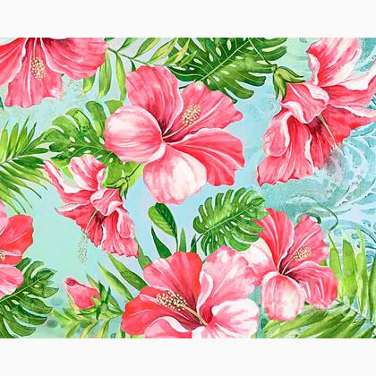 Hibiscus Paradise