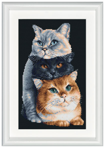 Three Cats - Noir