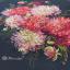 Dahlias