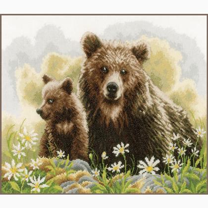 Des ours dans les bois