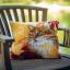 Coussin : Chat en automne