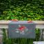 Chemin de table - Coquelicots