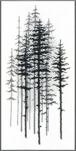 Foggy forest