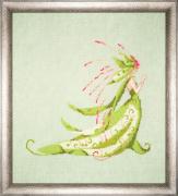 Praying Mantis - Fluttering Fashion