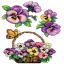 Violette
