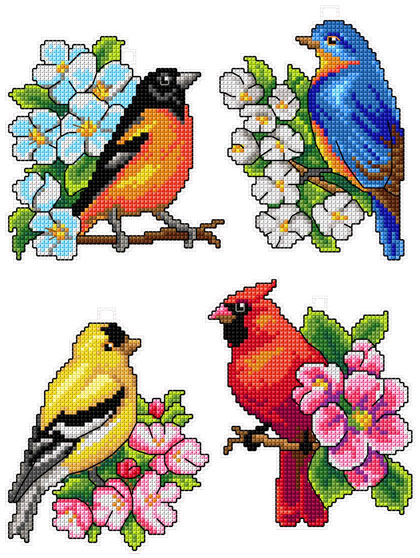 Oiseaux