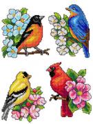 Oiseaux
