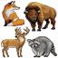Animaux de la forêt