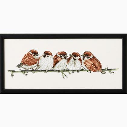 House sparrow