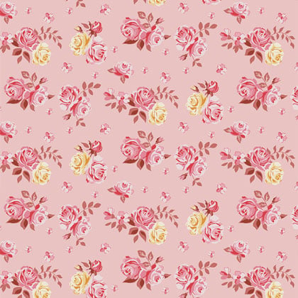 Blush Blossom - Roses