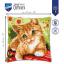 Coussin : Chat mignon