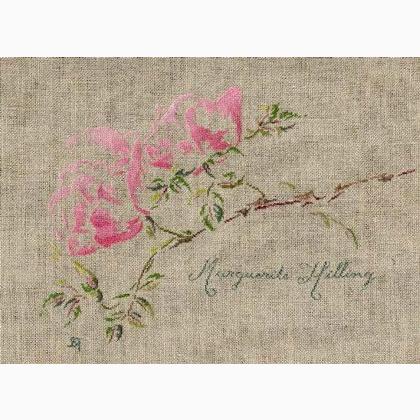 Rose \"Marguerite Hilling\"