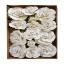 Bonita Shabby Chic