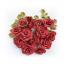 Bonita Love and Roses