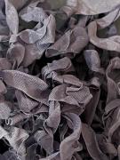 Bogart's Violet Crinkle Ribbon (2yds)